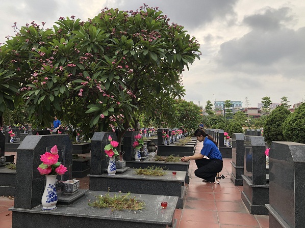 TN Vinatex thap nen tri an