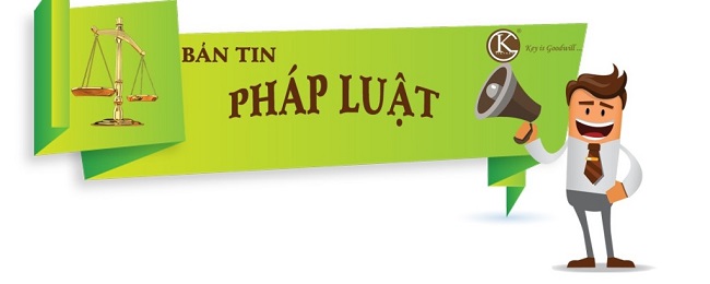 Bản tin pháp luật Tháng 08/2022 (Số 139)