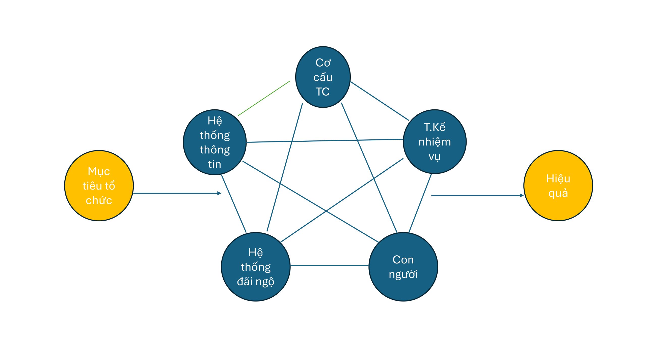 2. 250428 Danh gia mo hinh to chuc Le Tien Truong 3 scaled