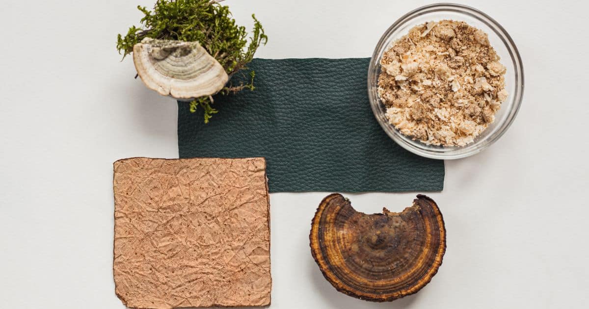 Copy of Untitled Design 94