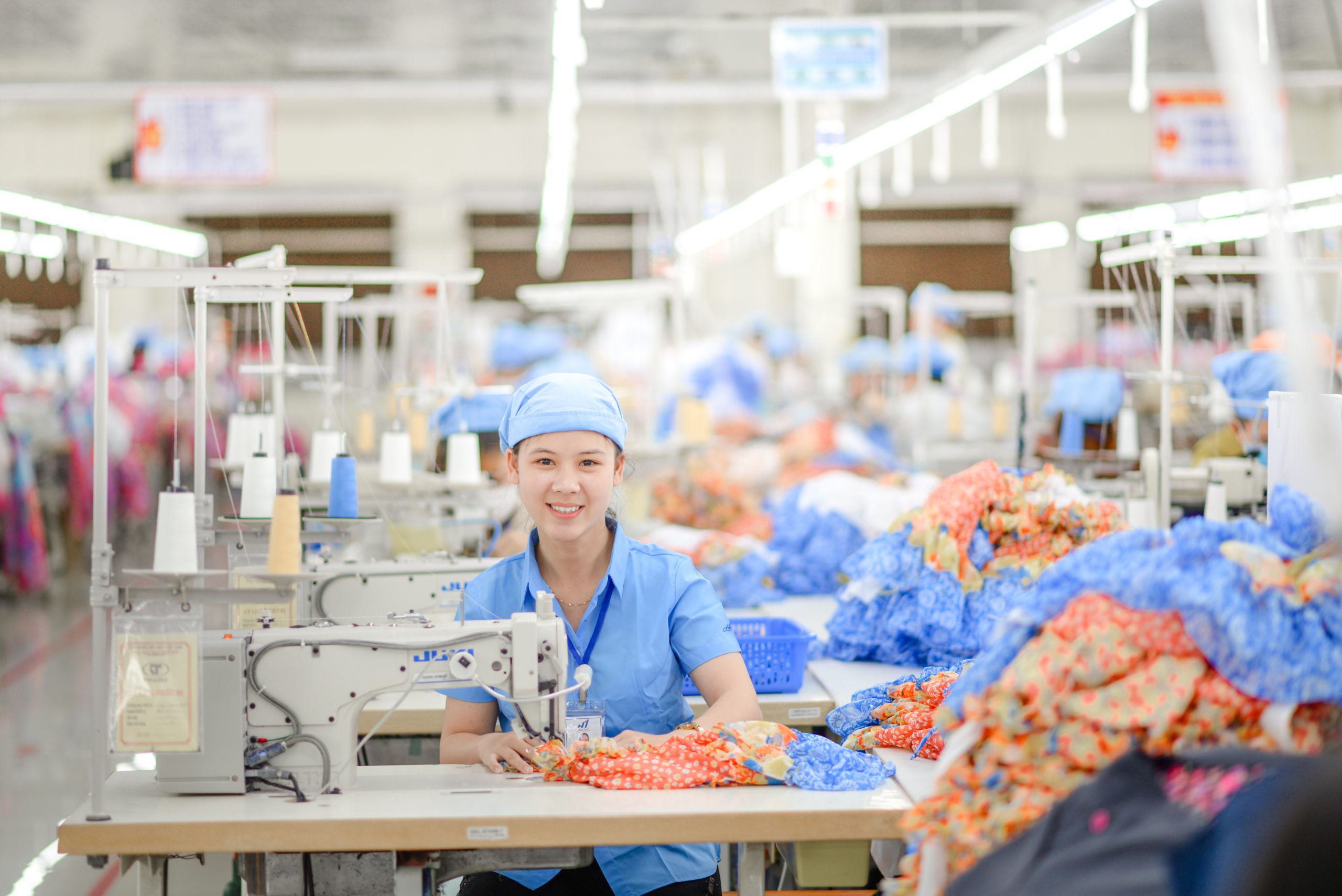 DSC 0824 copy 2 scaled