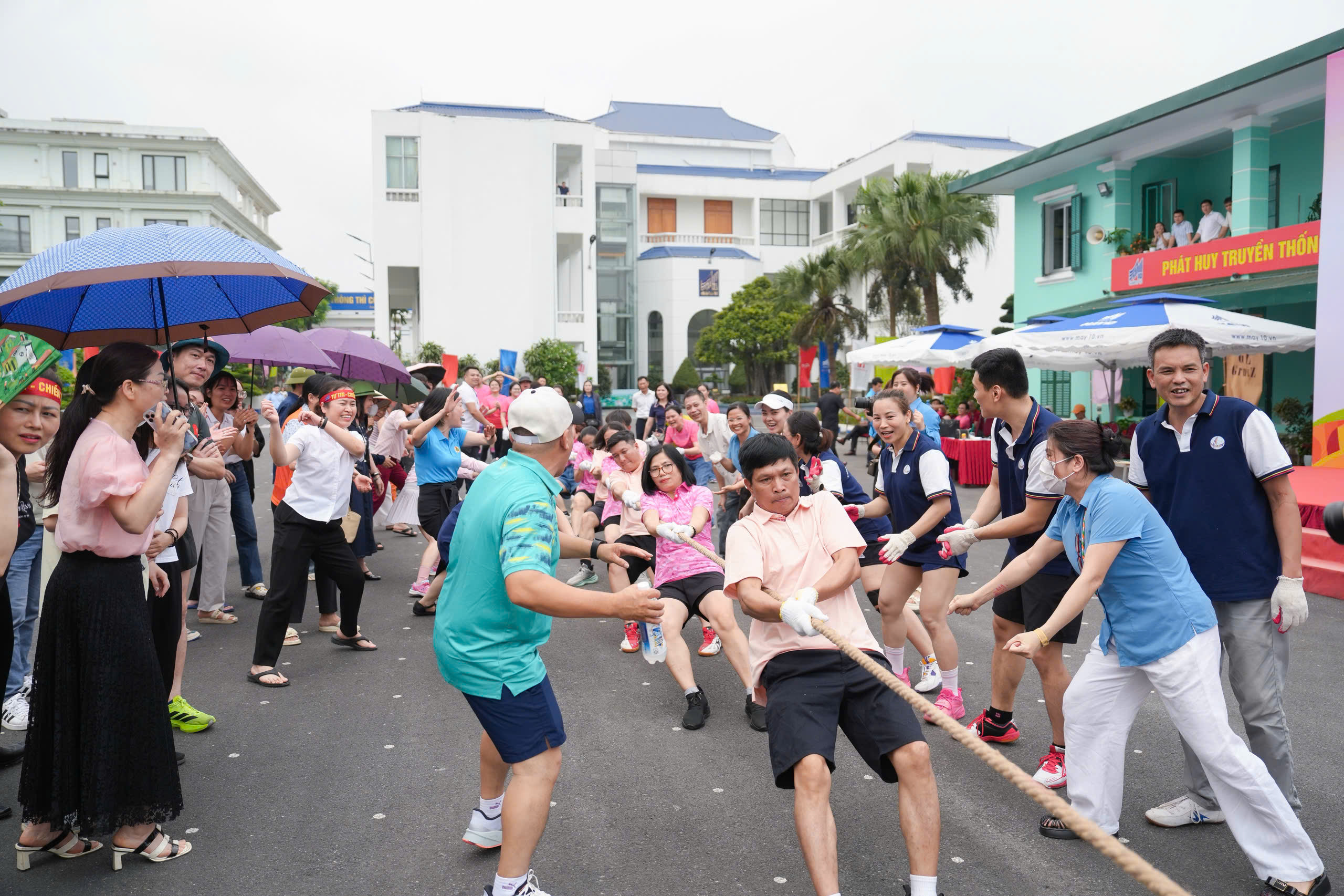 z7732117383449 ecdf2cfae11ddfd4b8c782d08ab96a5a