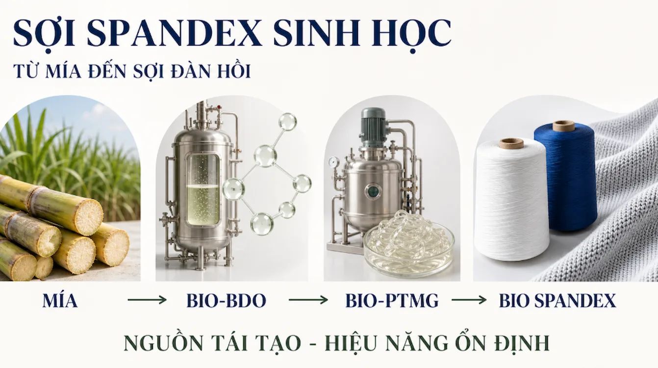 Thị trường với Vinatex – Vinatex với thị trường (tháng 9/2026) 2 Soi spandex sinh hoc tu mia Chuoi Bio BDO den Bio